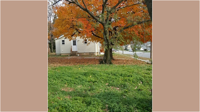 Side Yard