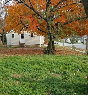 Side Yard