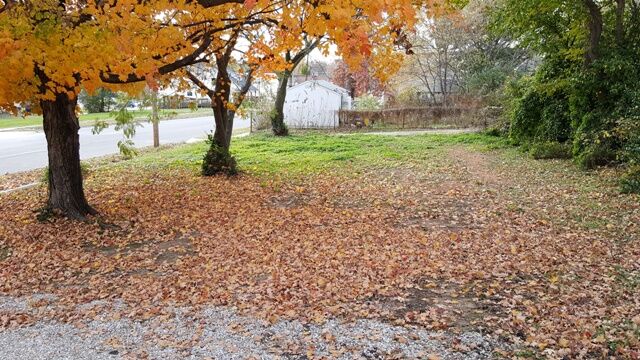 Side yard Side yard